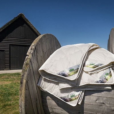 texeler dekbed bij boerderij