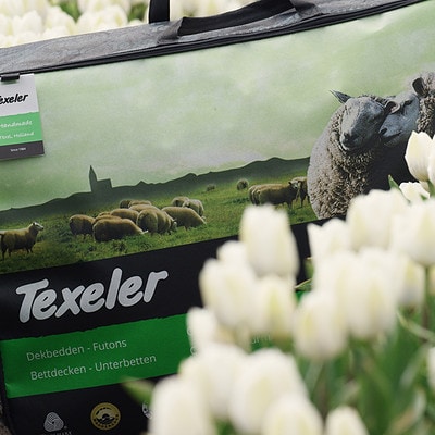 tulpen en texeler dekbed