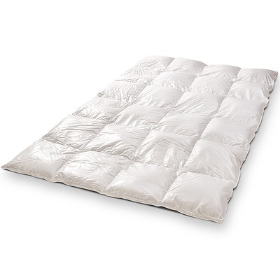 ganzendons dekbed