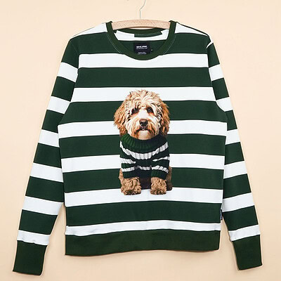 labradoodle sweater groen